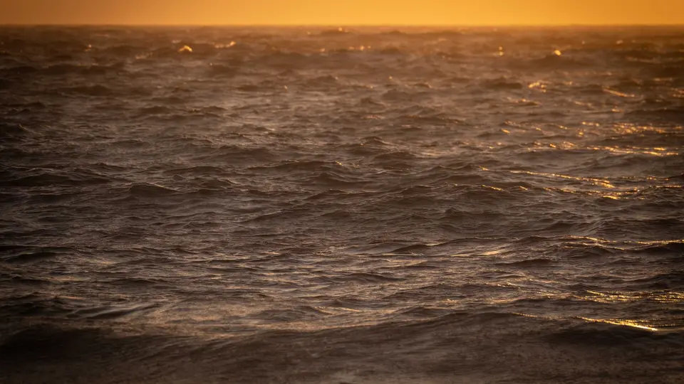 Content remote worker closing laptop at sunset with beach waves in background