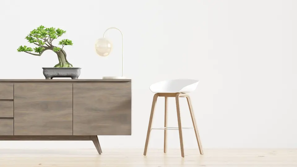 How Minimalist Tech Lifestyles is Changing the World